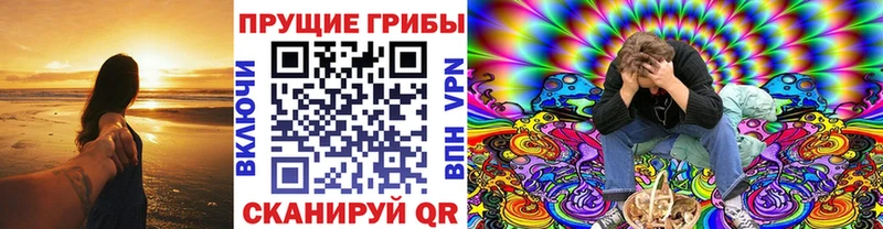Псилоцибиновые грибы мухоморы  Чернушка 