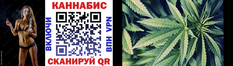 Конопля марихуана  Чернушка 